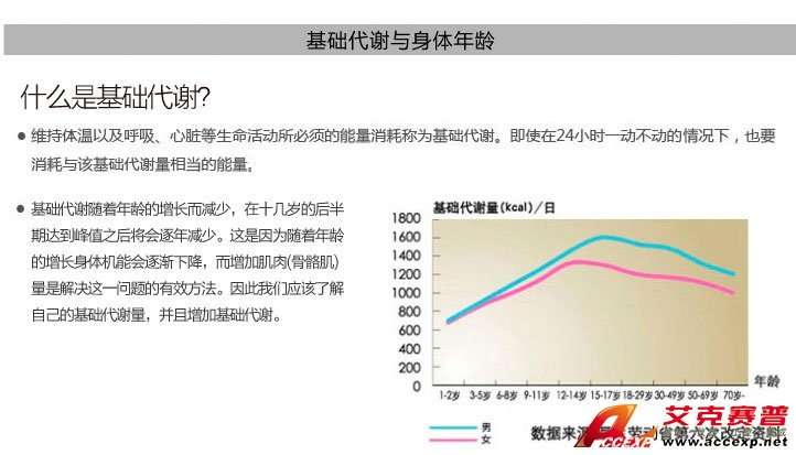 基礎(chǔ)代謝與身體年齡